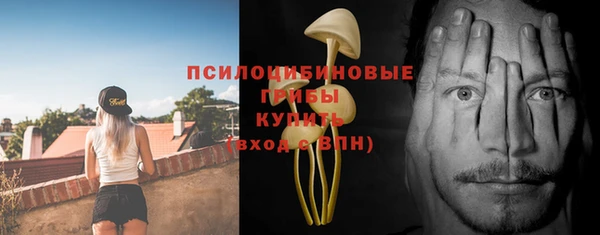 прущие крисы Вязьма