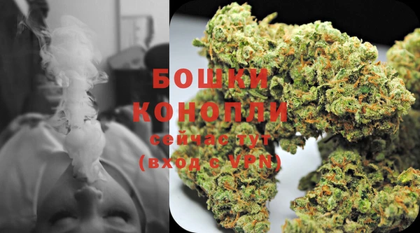 прущие крисы Вязьма