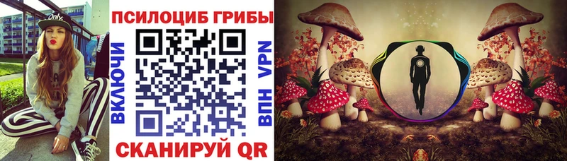 MEGA ТОР  Новоржев  Псилоцибиновые грибы MAGIC MUSHROOMS 